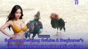 Sabong Betting Guide - A Beginner's Guide to the World of Cockfighting